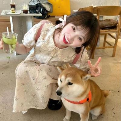 什么也没发生